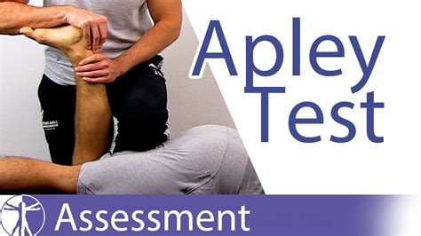 apley test meniscal tear|knee meniscus injury tests.